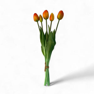 5 oranje kusttulpen realtouch - WinQ