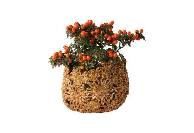 plantenmand Abaca in bloemstructuur geknoopt 15x17cm met plant met besjes