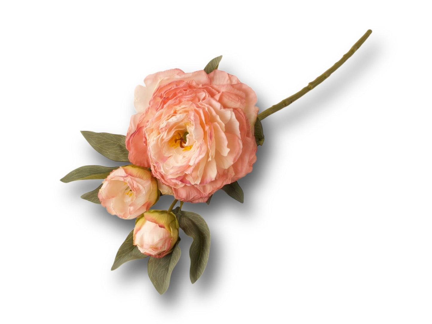 Losse foto van een liggende tak van een kunst pioenroos met 3 bloemen en groen blad - WinQ