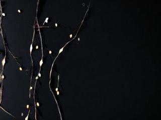 details van de ledjes met warm wit en witlicht