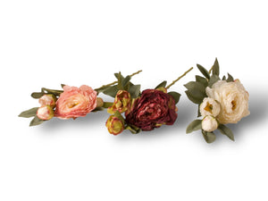 3 verschillende pioenrozen in de kleuren Wit, oud roze en bordeaux rood