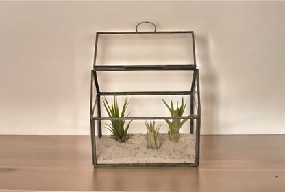 Glasterrarium voor planten in de maat 17x11x15cm met grijs metalen omlijsting en een openslaande deksel en 3 tillandsia plantjes