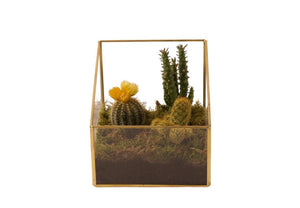 Terrarium Vierkant van glas met gouden frame 16x16x16cm - WinQ!