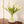een glasvaas op een houten tafel met boeket van 15 witte kunsttulpen-WinQ