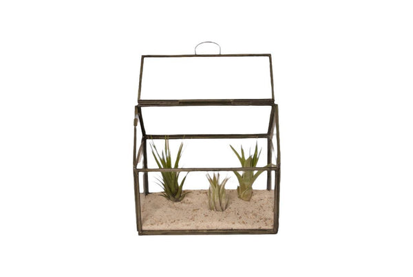 Glasterrarium voor planten in de maat 17x11x15cm met grijs metalen omlijsting en een openslaande deksel