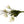 Liggend boeket met 6 witte tulpen - inQ