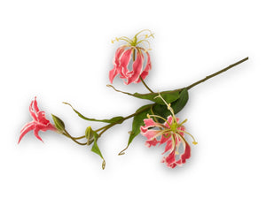 Losse tak van de Gloriosa in de kleur pink met een lengte van 75cm - WinQ