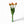 5 oranje kusttulpen realtouch - WinQ