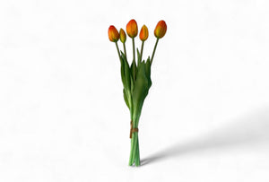 5 oranje kusttulpen realtouch - WinQ