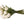 liggend boeket van witte tulpen - WinQ
