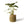 Mand Abaca hoogte 31cm en diameter 31cm Groen met naturel rand met een groene plant