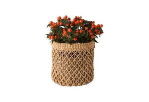 Plantenmand Abaca Naturel 24x31cm met een plantje