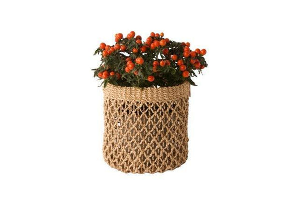 Plantenmand Abaca Naturel 22x23cm - WinQ!
