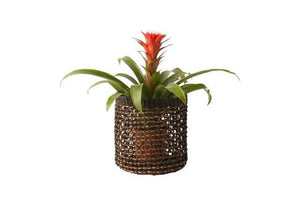 plantenmand abaca 22x23cm in zwart met naturel geknoopt