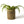 plantenmand abaca met plant