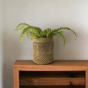 Plantenmand Abaca Groen 22x23cm op een houten tafel met een groene plant