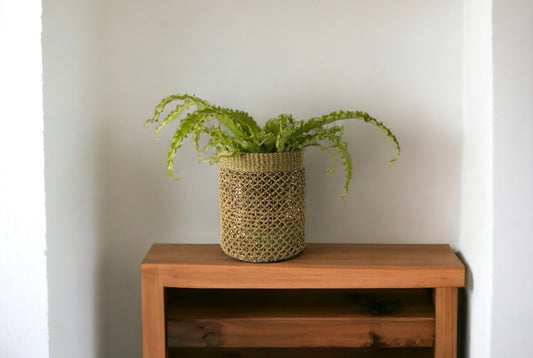Plantenmand Abaca Groen 22x23cm op een houten tafel met een groene plant