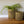 sfeerfoto van 2 manden van Abaca  waarvan een met plant op ee houten vloer met een lichte muur