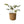 pPlantenmand van Abaca met Handvat Naturel 30x25cm en groene  palm