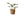 pPlantenmand van Abaca met Handvat Naturel 30x25cm en groene  palm