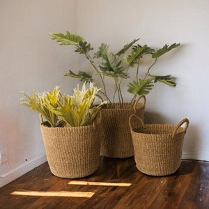 Plantenmand Abaca met Handvat Naturel in 3 verschillende maten met een  op houten vloer voor een witte muur