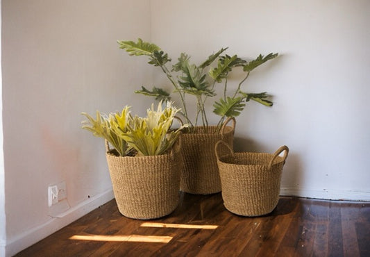 Plantenmand Abaca met Handvat Naturel in 3 verschillende maten met een  op houten vloer voor een witte muur