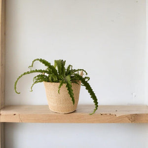 mand abaca 26x20cm met handvat in off white met een kunstplant varen op een plank gepresenteerd