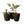 3 plantenmanden van Abaca in de kleur zwart met planten