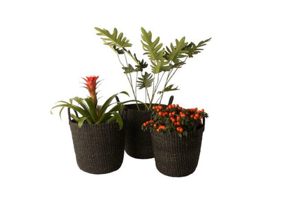 3 plantenmanden van Abaca in de kleur zwart met planten