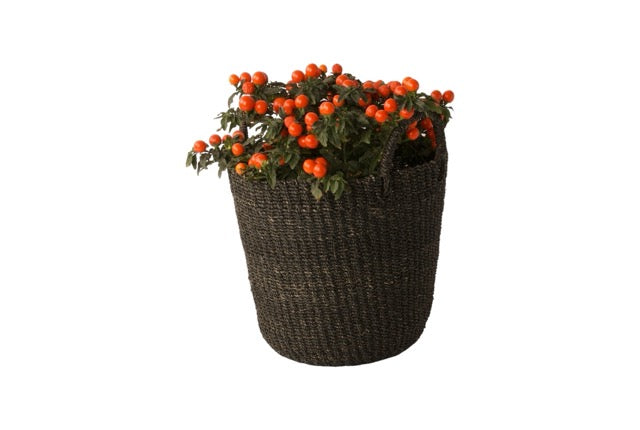 Mand Abaca Handvat Zwart 30x25cm met plant met oranje besjes