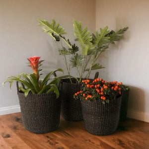 3 verschillende maten aback manden zwart met verschillende planten op een houten vloer