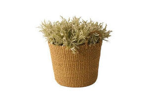 Mand Abaca Handvat Beige 33x29cm met lage plant