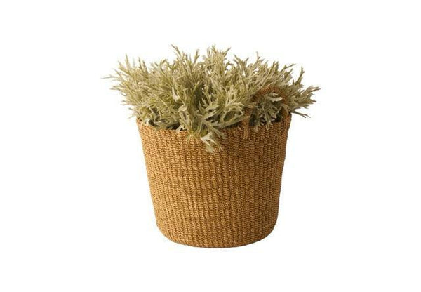 Mand Abaca Handvat Beige 30x25cm met lage plant