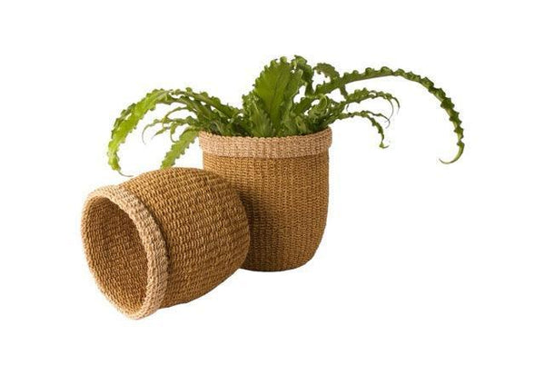 mand abaca in 2 maten waarvan 1 liggend en 1 met plant
