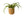 Mand Abaca Beige diameter 31cm en hoogte 32 cm met groene plant