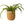 Mand Abaca Beige diameter 31cm en hoogte 32 cm met groene plant