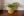 mand abaca groot beige met groene plant voor een witte muur