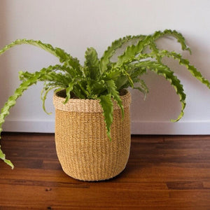 mand abaca groot beige met groene plant voor een witte muur