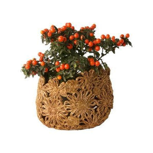 plantenmand Abaca in bloemstructuur geknoopt 15x17cm met plant met besjes