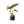 Mand Abaca Zwart Groot met grote groene plant