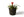 Plantenmand Abaca Handvat Zwart 26x20cm met plant