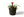 Plantenmand Abaca Handvat Zwart 33x29cm met plant