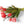 boeket van tulpen en parkiettulpen in rood en fuchsia met hoogte van 40cm liggend gefotografeerd - WinQ