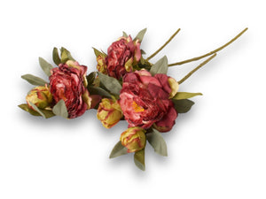 Losse foto van een 3 liggende takken van een kunst pioenroos met 3 bloemen in de kleur bordeauxen groen blad - WinQ