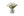 21 witte tulpen in glasvaas - WinQ