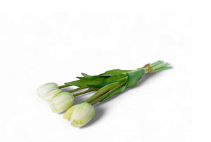 Liggend bosje witte tulpen-WinQ