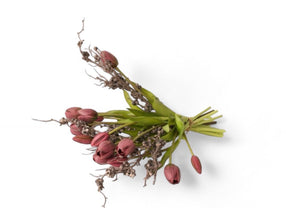 Boeket kunsttulpen met groen blad gebonden met zwarte bes Liggend gefotografeerd - WinQ