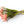 detail van Boeket met tulpen en parkiettulpen gebonden met berkentakken in een kunstboeket op een roze keramieken vaas - WinQ