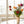 Presentatie van een tulpenvaas op een tafel met diverse kleuren tulpen in rood, oranje, paars en roze afgewerkt met twijgen -WinQ