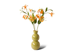Groen Vaas met oranje gloriosa -WinQ